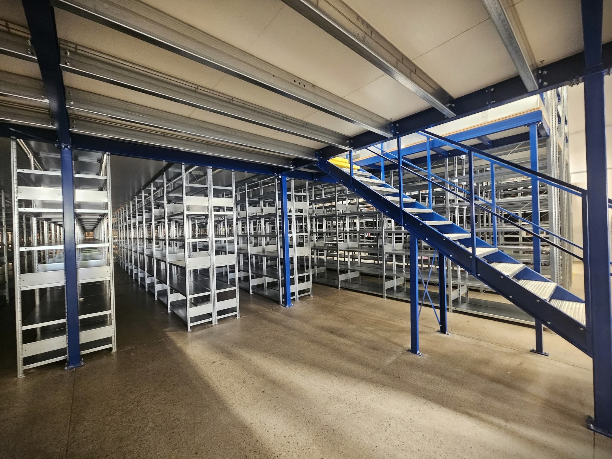 Foto del profilo 5